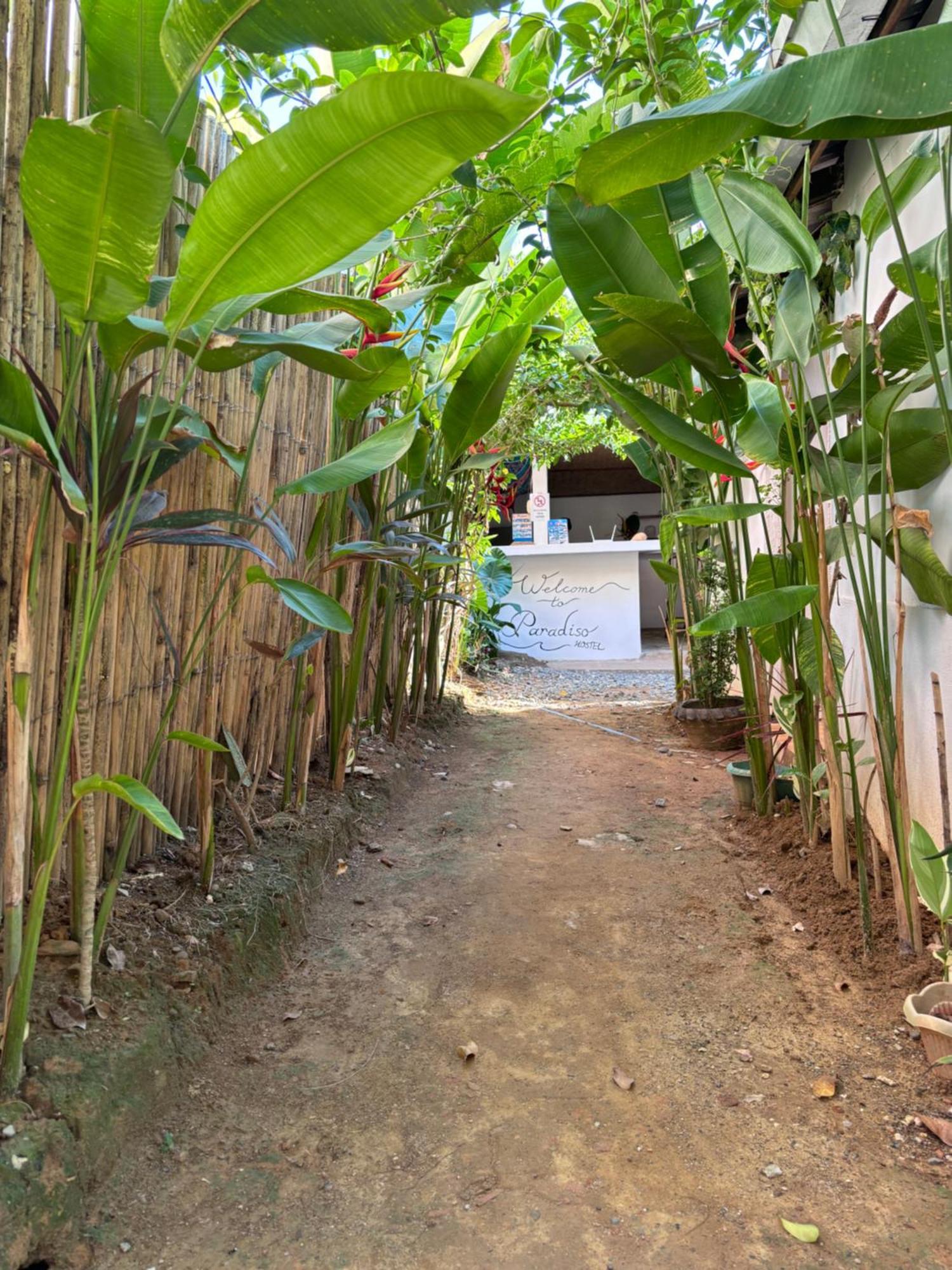Paradiso Hostel เอลนิโด ภายนอก รูปภาพ